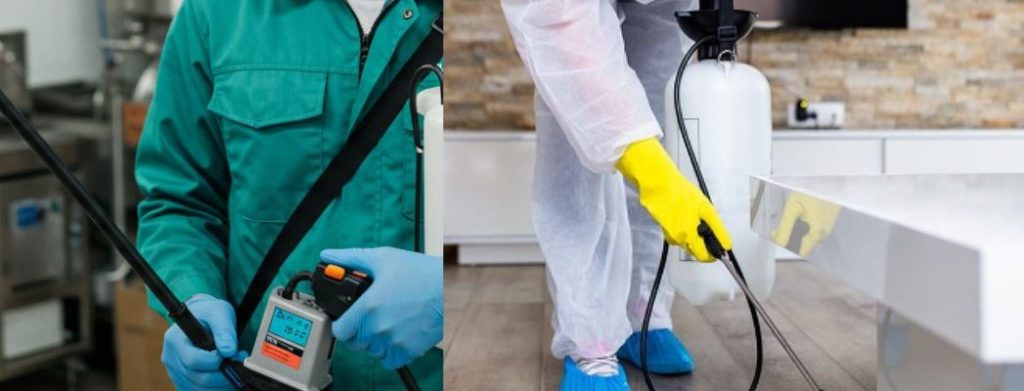 Pest Control Technician in FCT, Wuse – Esther cover photo