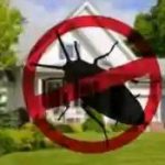 Health and Safety Officer in Edo, Ekpoma and Benin city – Moses profile photo