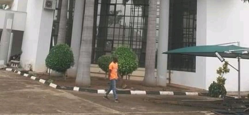 Painter in FCT, Abuja – Joseph cover photo