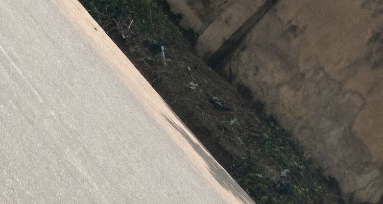 Plumber in Oyo, Ogbomosho – ADELEKE cover photo